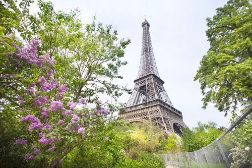 Tour of Paris + the Eiffel Tower + a River Cruise